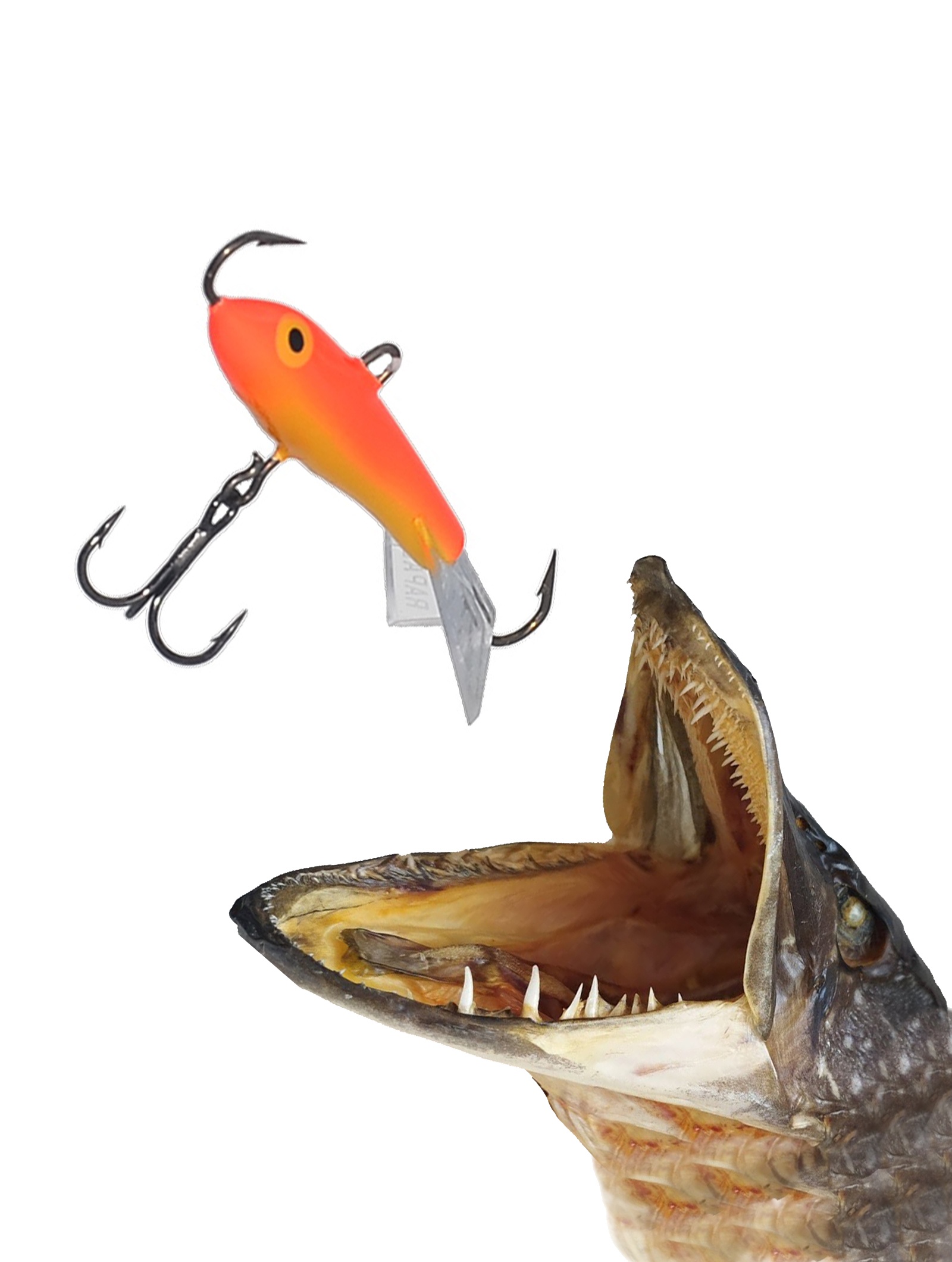 Jigging Rap W07 GFR - фото2