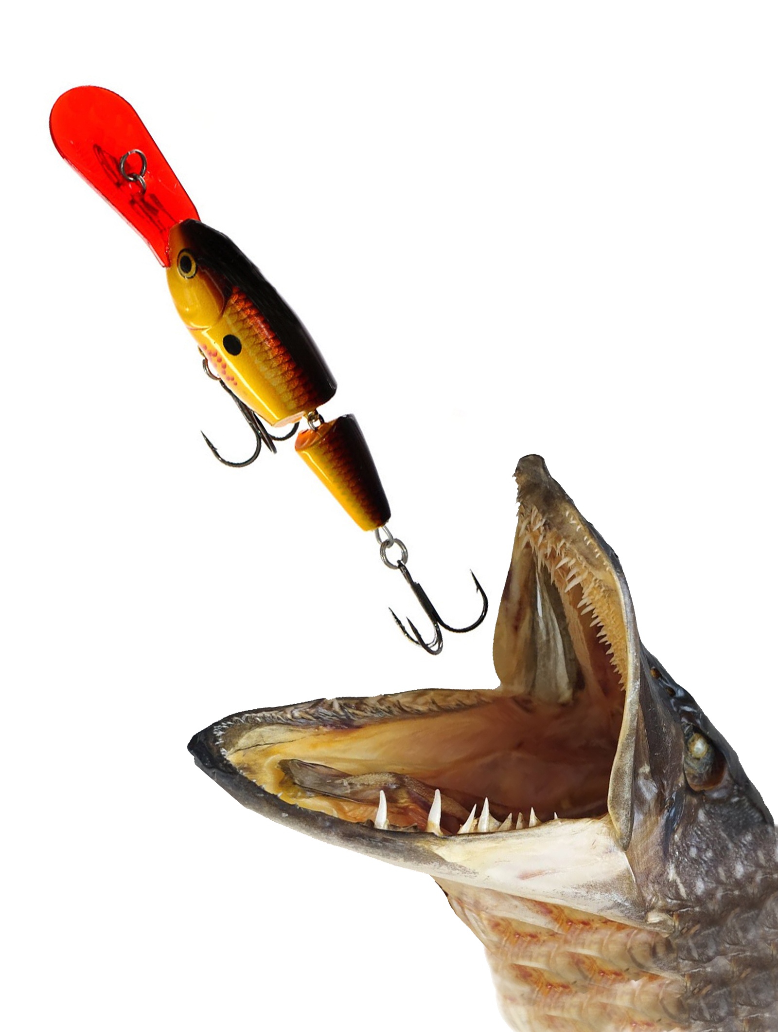 JSR07 BCF Jointed Shad Rap - фото2