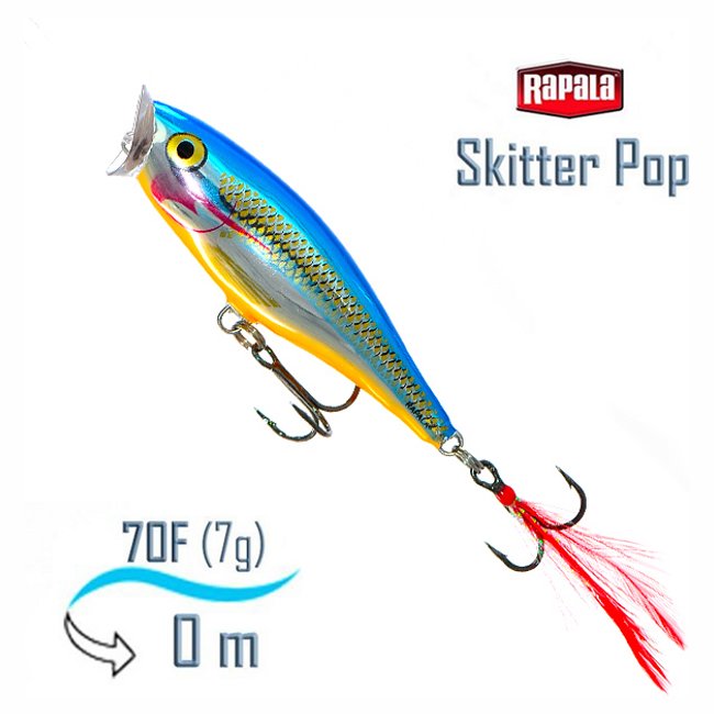SP07 SB Skitter Pop