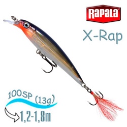 XR10 PG X-Rap - фото