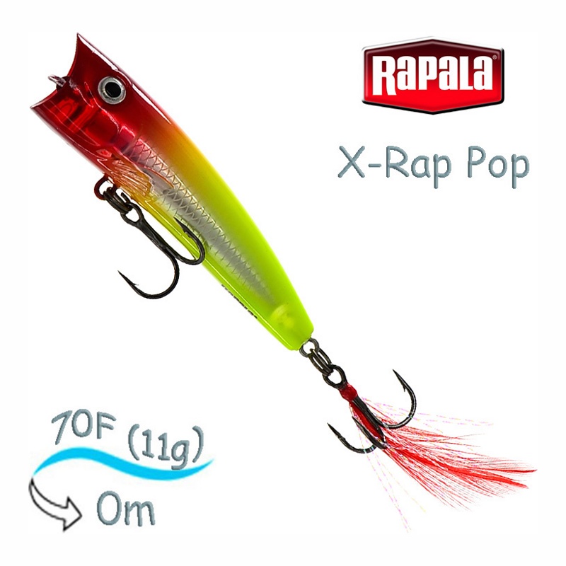 XRP07 CLN X-Rap Pop