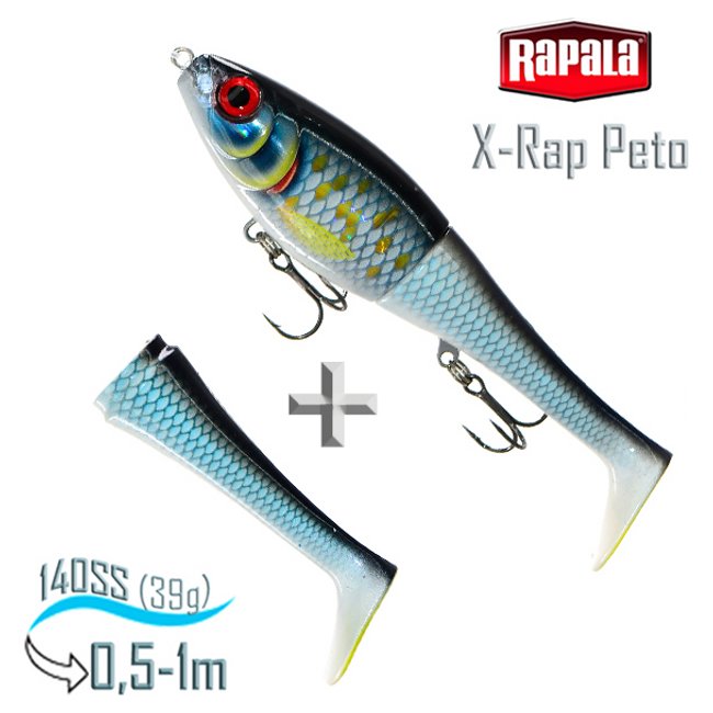 XRPT14 SCRB X-Rap Peto