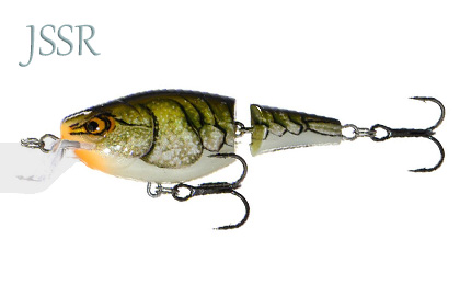 Jointed Shallow Shad Rap 