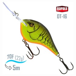 DT16 CRTBC Dives-To - фото