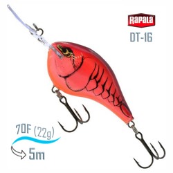 DT16 DMN Dives-To - фото