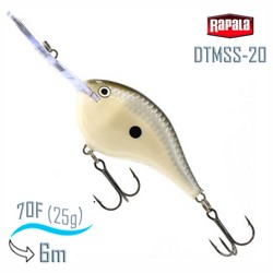 DTMSS20 PGS - фото