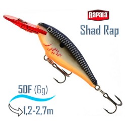 SR05 BOSD Shad Rap - фото
