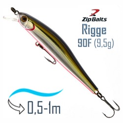 Rigge 90 F-105M - фото