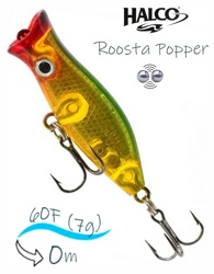 Roosta Popper  60-R39 - фото