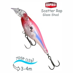 SCRGS07 GPCL Scatter Rap Glass Shad - фото
