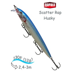 SCRH13 BSH Scatter Rap Husky - фото