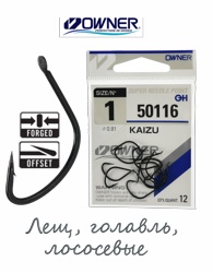 50116-01 Kaizu - фото