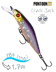 Crack Jack 78 SP-MR-A12 - фото