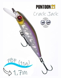 Crack Jack 78 SP-MR-A30 - фото