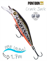 Crack Jack 78 F-MR-R53 - фото