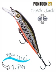 Crack Jack 78 SP-MR-R53 - фото