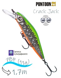 Crack Jack 78 SP-MR-R66 - фото
