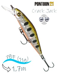 Crack Jack 78 SP-MR-050 - фото