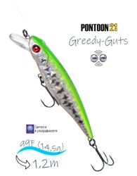 Greedy-Guts 99 F-SR-433 - фото