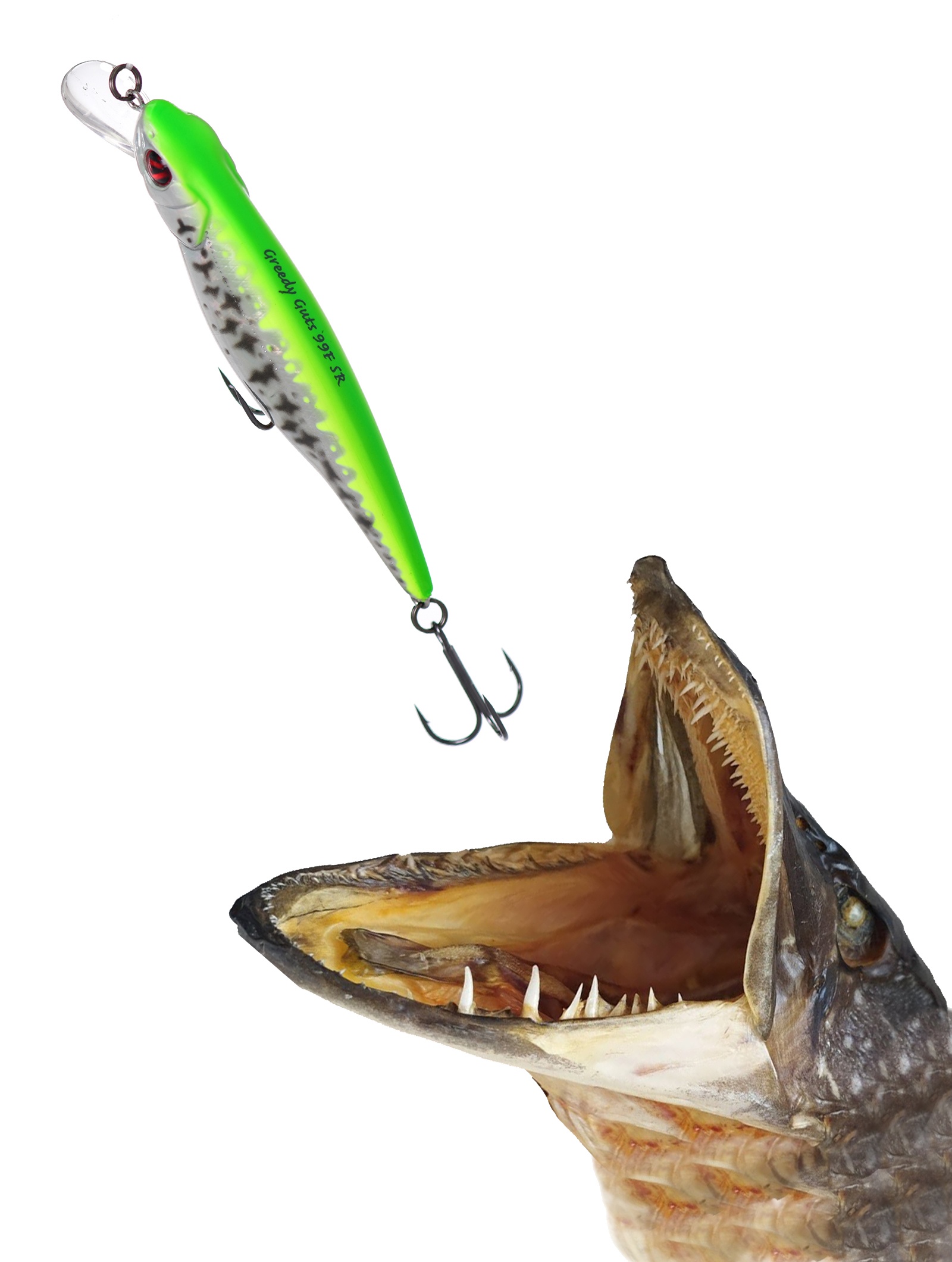 Greedy-Guts 99 F-SR-433 - фото2