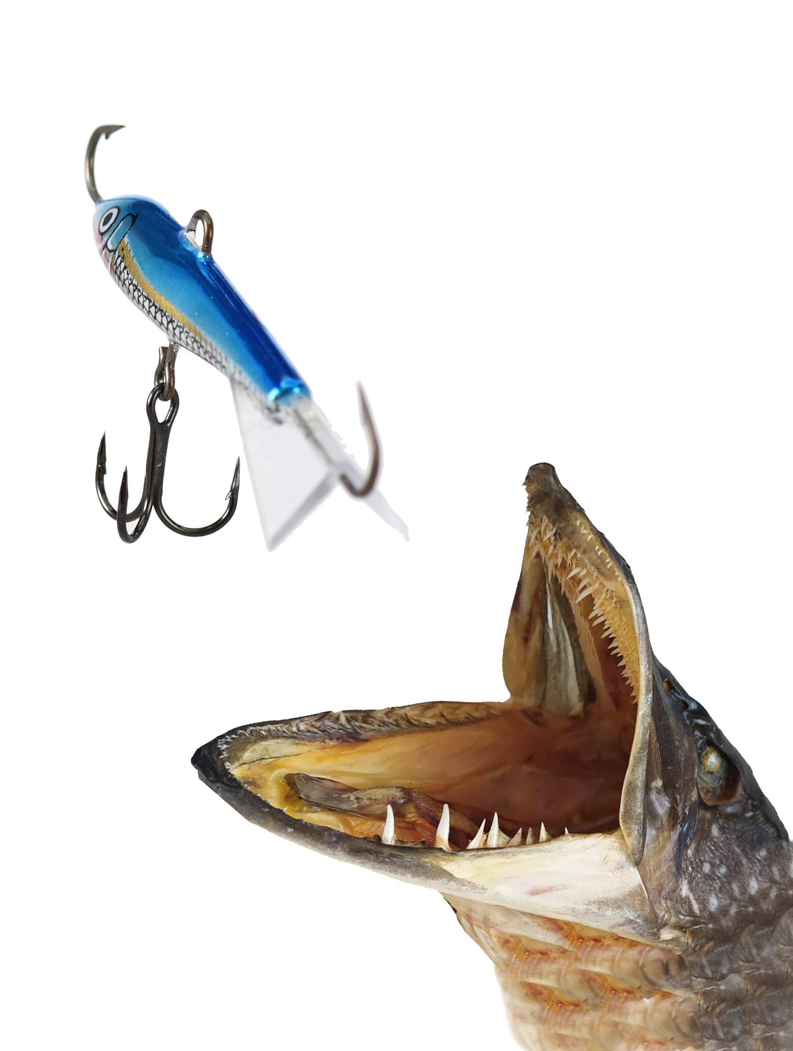 Jigging RapW07 CHBM - фото2