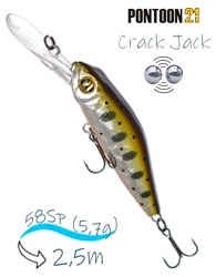 Crack Jack 58 SP-DR-050 - фото
