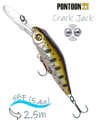 Crack Jack 58 F-DR-050 - фото
