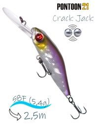 Crack Jack 58 F-DR-A30 - фото