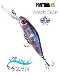 Crack Jack 58 F-DR-R55 - фото
