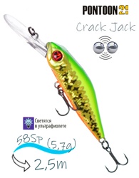 Crack Jack 58 SP-DR-R65 - фото