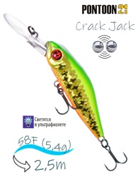 Crack Jack 58 F-DR-R65 - фото