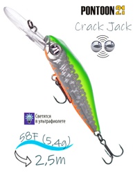 Crack Jack 58 F-DR-R66 - фото