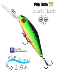 Crack Jack 58 F-DR-R77 - фото