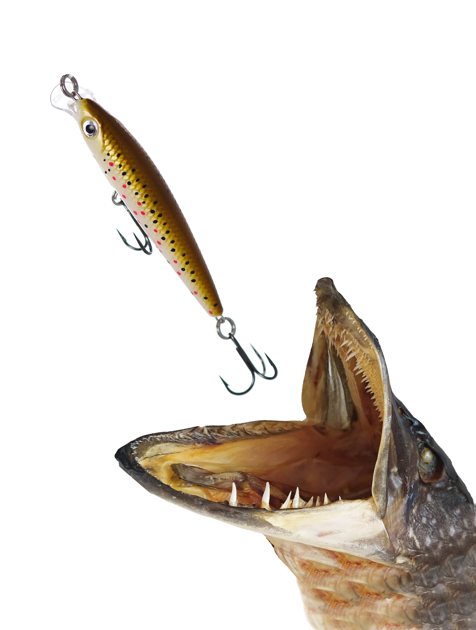 ULM06 TR Ultra Light Minnow - фото3