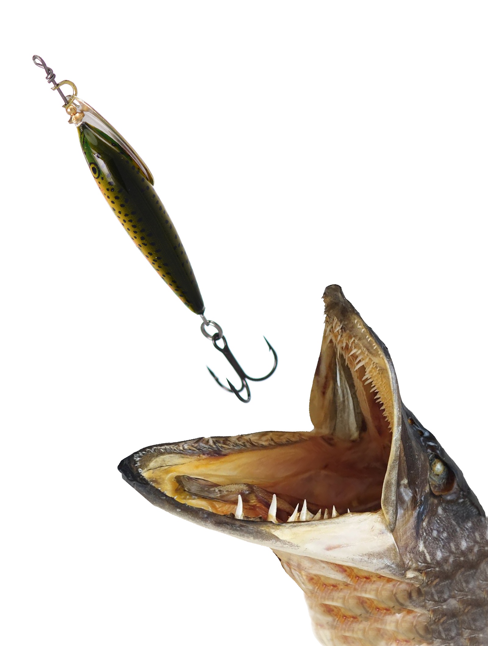 VMS5-RT Vibrax Minnow Spin - фото2