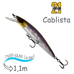 Cablista 75 SP-SMR A30 - фото