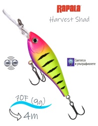 HVSD07-HSP Harvest Shad - фото