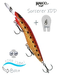 Sorcerer 125 XDD-H70 - фото