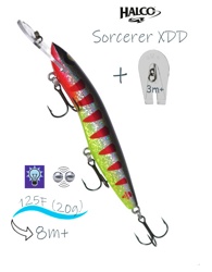 Sorcerer 125 XDD-R04 - фото