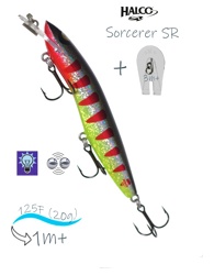 Sorcerer 125 SR-R04 - фото