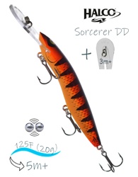 Sorcerer 125 DD-R05 - фото