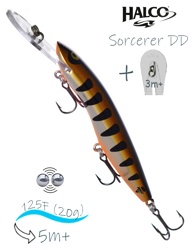 Sorcerer 125 DD-R06 - фото