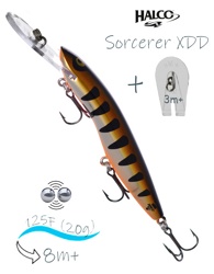 Sorcerer 125 XDD-R06 - фото