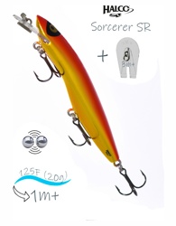 Sorcerer 125 SR-R11 - фото