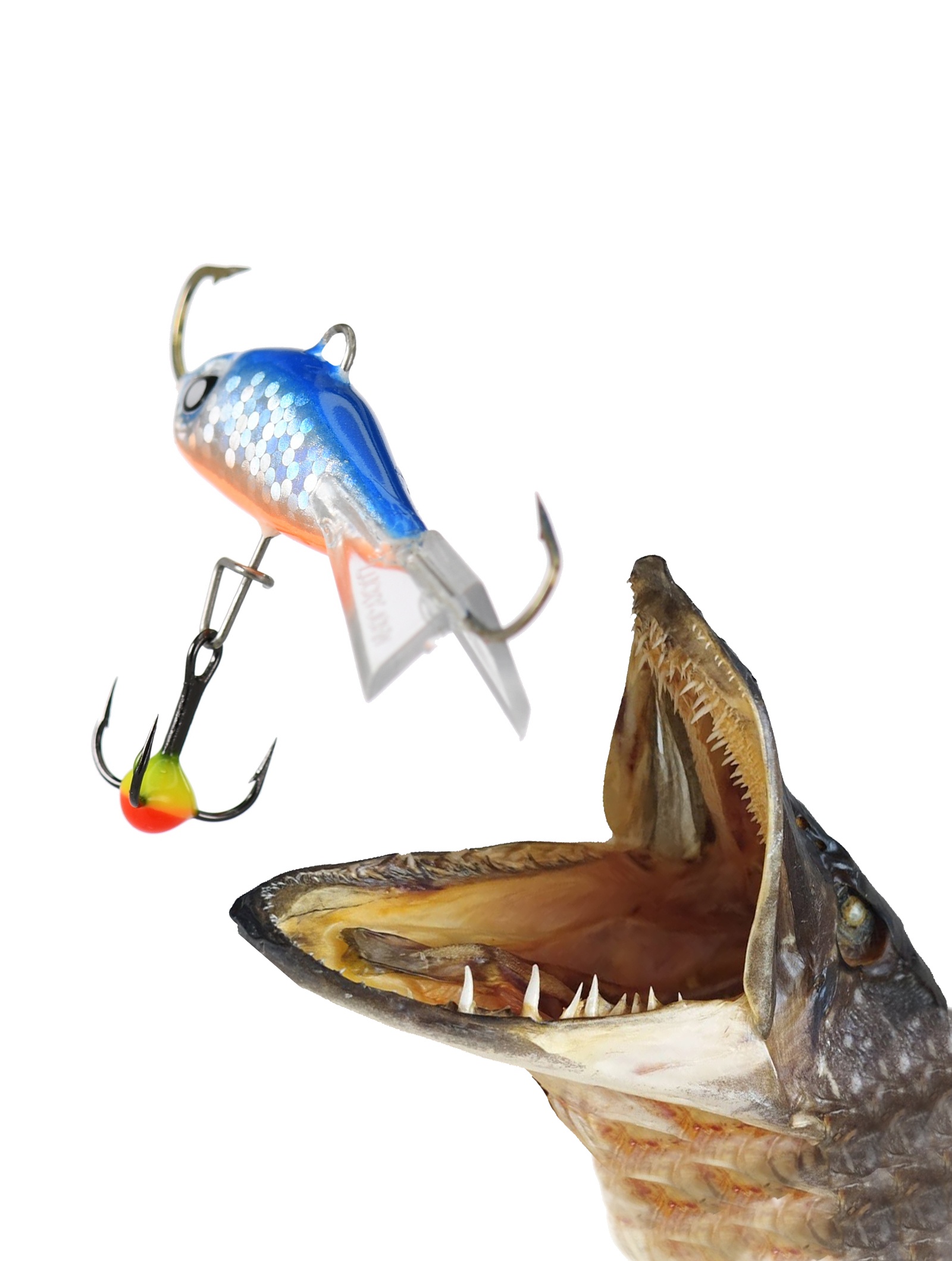 Baltic 3-067H - фото2