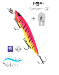 Sorcerer 125 SR-R01 - фото