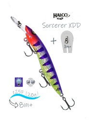 Sorcerer 125 XDD-R24 - фото