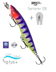 Sorcerer 125 SR-R24 - фото