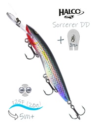Sorcerer 125 DD-R25 - фото
