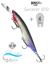 Sorcerer 125 XDD-R25 - фото